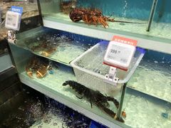 -盒马鲜生(红莲店)