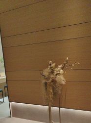 -恒美雅轩·品牌直营连锁