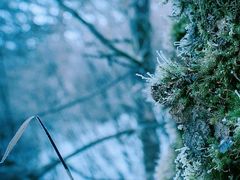 -苍山感通索道