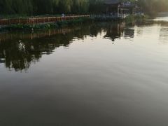 -莲花池公园