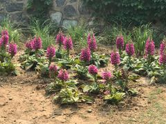 -北京西山国家森林公园