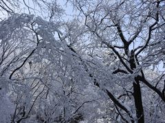 -终南山南五台景区