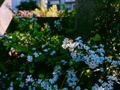 -成都濑川外国语学校