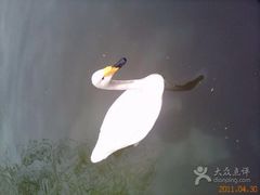 iphone_upload_pic-森林公园(尖草坪区)