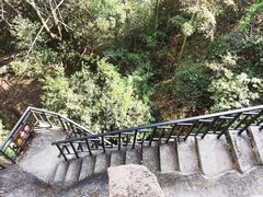 -武夷山风景名胜区-虎啸岩