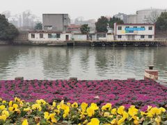 -运河游船(武林门码头)