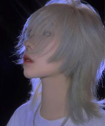 -罗亚帝·NASHOW纳秀形象设计