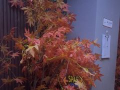 -瀚境SPA·影院足道·瑜伽按摩(景谷中路店)