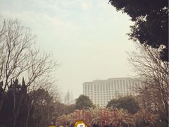 -人民公园-相亲角