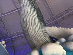 -烟台海昌鲸鲨海洋公园