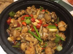 -金蝉食府(维吉奥广场店)