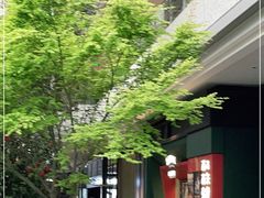 -西西弗书店·矢量咖啡(新光天地店)