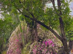 -深圳国际园林花卉博览园