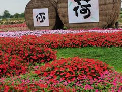 -嘉北郊野公园