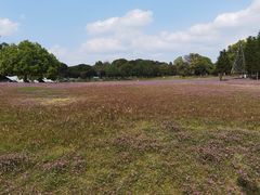 -福建鲤鱼洲酒店