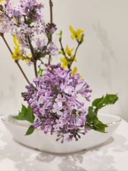 -今日陶艺(富力广场店)