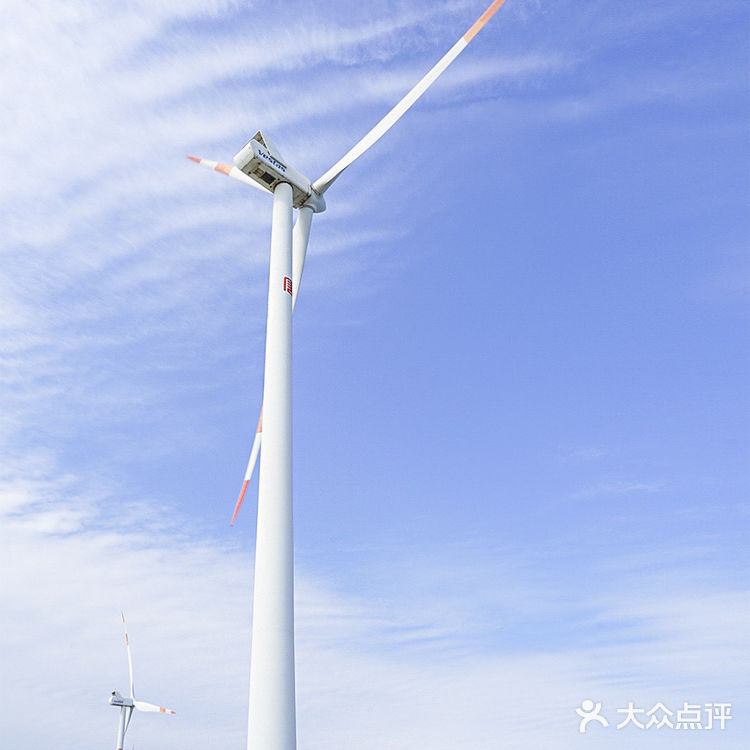 旅行小众处女地 一地坐拥双海的徐闻南极村
