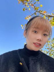 -蚂蚁造型俱乐部