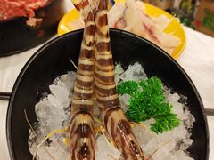 -鲜入围煮花胶鸡海鲜火锅