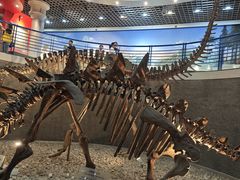 -国家自然博物馆