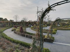 -金银湖国家城市湿地公园
