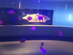 -常州海昌海洋探索馆