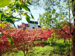 -敬亭山风景名胜区