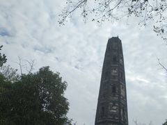 -上海佘山国家森林公园天马山园