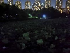 -龙头寺公园