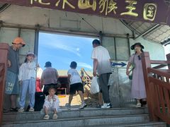 -西霞口神雕山野生动物世界