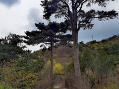 -妙峰山风景名胜区