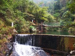 -大奇山国家森林公园