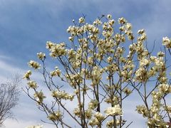 -北京宽沟会议中心