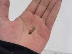 -亚布力新体委滑雪场