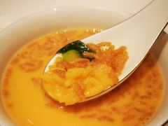 -东富酒家(龙湖西溪天街店)