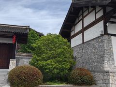 -大唐贡茶院