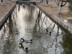 -春风习习