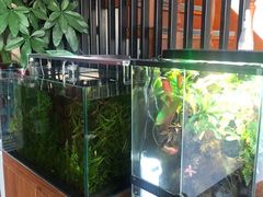 -繁花足道(梅江店)