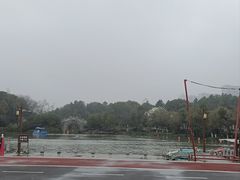 -八大山人梅湖景区