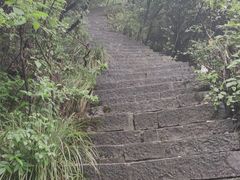 -黔灵山公园
