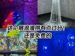 -中华艺术宫