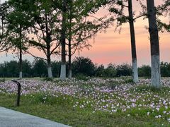 -汉长安城未央宫国家考古遗址公园