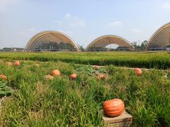 -中国天府农业博览园