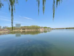 -大兴滨河森林公园