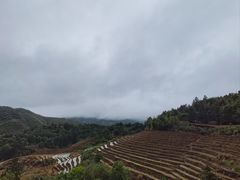 -南靖田螺坑土楼群景区
