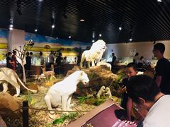 -陕西自然博物馆