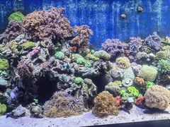 -珠海长隆海洋王国