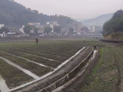 -红山村