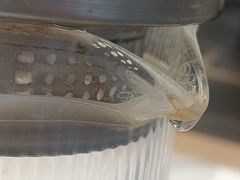 -山东宾馆·齐鲁苑餐厅