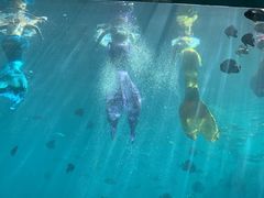 -瑞德姆美人鱼海底演艺主题餐厅(亚龙湾店)